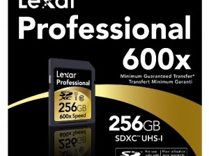 Pro_600x_SDXC_256GB_EFS