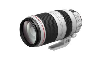 EF 100-400mm f4.5-5.6L IS II USM_tcm80-1210599