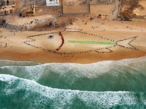 Pesce vivo, Senegal-Seyllou