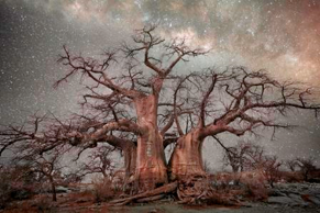 Beth Moon