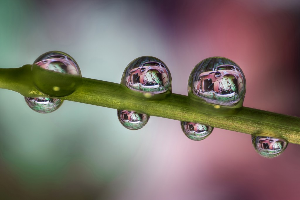 Nikon_La bellezza della Ruggine_40mm_Water Droplets_(c)Alberto Ghizzi Panizza