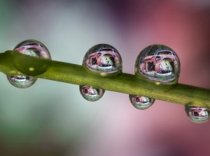 Nikon_La bellezza della Ruggine_40mm_Water Droplets_(c)Alberto Ghizzi Panizza